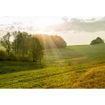 Fototapeta Vliesová fototapeta na zeď Rasch 363432, Magic Walls