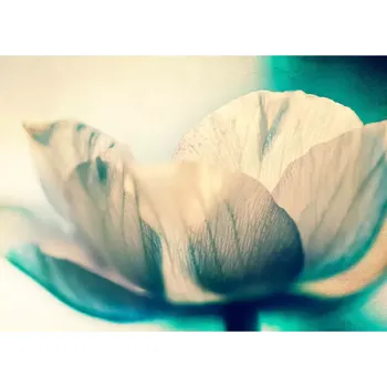 Fototapeta Vliesová fototapeta na zeď Rasch 363340, Magic Walls