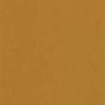 Tapeta Vliesová tapeta na zeď Caselio 64522029, jednobarevná Oranžová