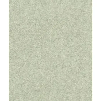 Tapeta Vliesová tapeta na zeď Rasch 699821, Welcome home Zelená