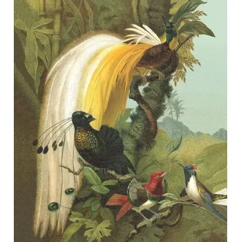 Fototapeta Vliesová fototapeta na zeď Rasch 543797, Magic Walls, 2,12 x 2,65 m, páv na stromě Zelená