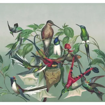 Fototapeta Vliesová fototapeta na zeď Rasch 543544, Magic Walls, 3,18 x 3 m, ptačí hnízdo Zelená