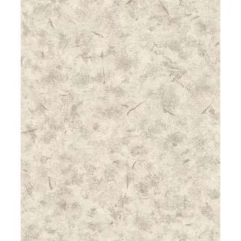 Tapeta Vliesová tapeta na zeď Rasch 649703, kolekce Andy Wand Krémová;Šedá