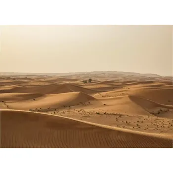 Fototapeta Vliesová fototapeta na zeď Rasch 862430, Magic Walls