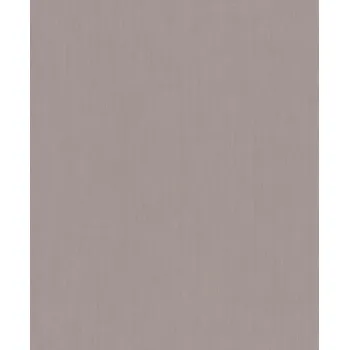 Tapeta Vliesová tapeta na zeď Rasch 521481, kolekce Concrete Šedá