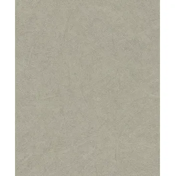 Tapeta Vliesová tapeta na zeď Rasch 520279, kolekce Concrete Zelená