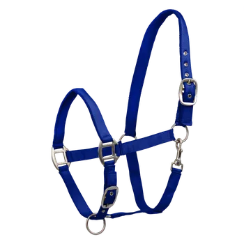 Vybavení pro koně Waldhausen Ohlávka Perlon Satin, saphire modrá Barva: Modrá, Velikost: SHETTY