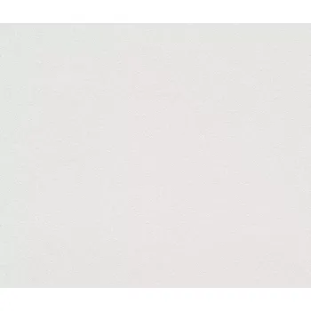 Tapeta Přetíratelná tapeta na zeď Rasch 329001, rozměr Bílá (přetíratelná)
