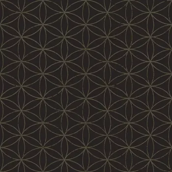 Tapeta Vliesová tapeta na zeď 22054, Amazzonia černá