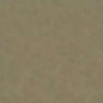 Tapeta Vliesová tapeta na zeď Caselio 101497509 BETON 2 Hnědá