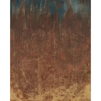 Fototapeta Vliesová fototapeta na zeď Rasch 364163, Magic Walls