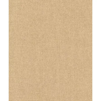 Tapeta Vliesová tapeta na zeď Rasch 312171, Color Your Life Hnědá