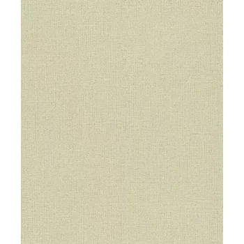 Tapeta Vliesová tapeta na zeď Rasch 639667, kolekce Andy Wand Zelená