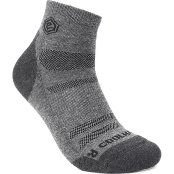 Pánské ponožky Funkční ponožky Blue Label "Iguana" - šedé, vel. 43-46