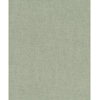 Tapeta Vliesová tapeta na zeď Rasch 312218, Color Your Life Zelená