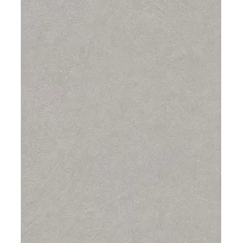 Tapeta Vliesová tapeta na zeď Rasch 520255, kolekce Concrete Stříbrná
