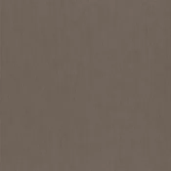 Tapeta Vliesová tapeta na zeď Rasch 521498, kolekce Concrete Hnědá