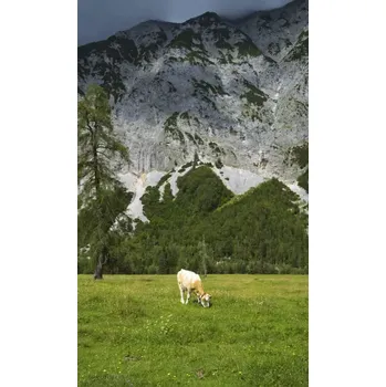 Fototapeta Vliesová fototapeta na zeď Rasch 364637, Magic Walls