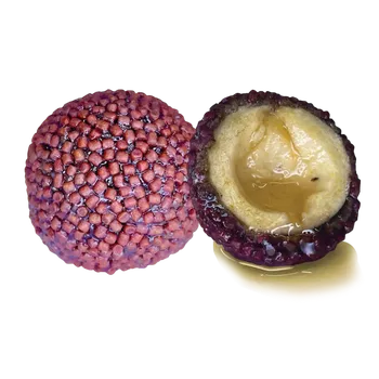 LK Baits Nutrigo Pellets Chilli Halibut, 200ml, 20mm