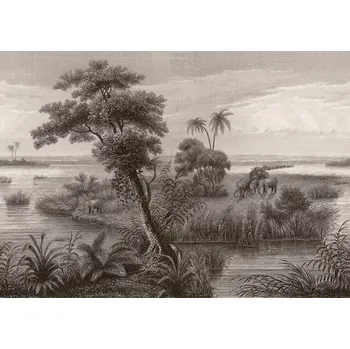 Fototapeta Vliesová fototapeta na zeď Rasch 556131, Magic Walls