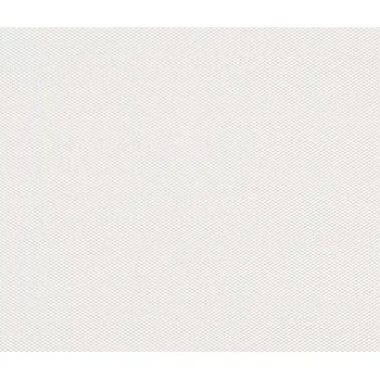 Tapeta Přetíratelná tapeta na zeď Rasch 326406, rozměr Bílá (přetíratelná)