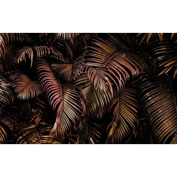 Fototapeta Vliesová fototapeta na zeď Rasch 363098, Magic Walls