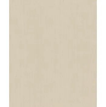 Tapeta Vliesová tapeta na zeď Rasch 521450, kolekce Concrete Béžová
