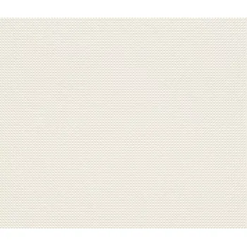 Tapeta Přetíratelná tapeta na zeď Rasch 326307, rozměr Bílá (přetíratelná)