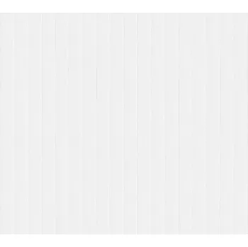 Tapeta Přetíratelná tapeta na zeď Rasch 325829, rozměr Bílá (přetíratelná)