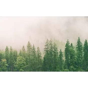 Fototapeta Vliesová fototapeta na zeď Rasch 363203, Magic Walls