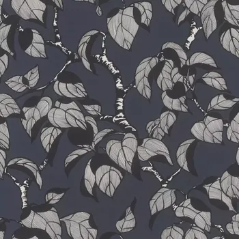 Tapeta Vliesová tapeta na zeď Rasch 692204, Rhapsody Černobílá