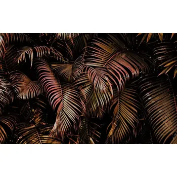 Fototapeta Vliesová fototapeta na zeď Rasch 363135, Magic Walls