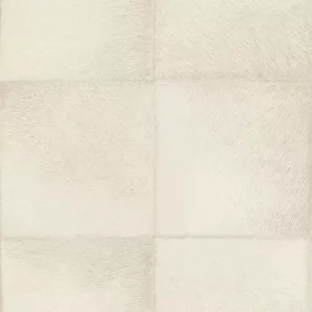 Tapeta Vliesová tapeta na zeď Rasch 419108, kolekce Club Šedá