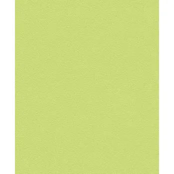 Tapeta Vliesová tapeta na zeď Rasch 469035, kolekce Kids & teens II, styl univerzální Zelená