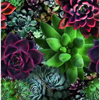 Fototapeta Vliesová fototapeta Art Aspiration 46701