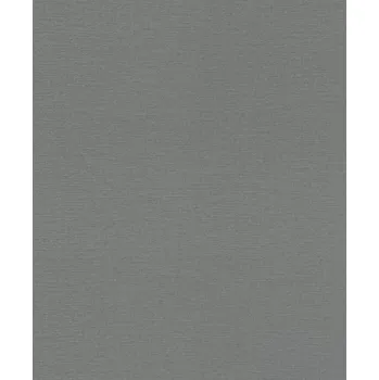 Tapeta Vliesová tapeta na zeď Rasch 804553, Tapetenwechsel 2 Šedá