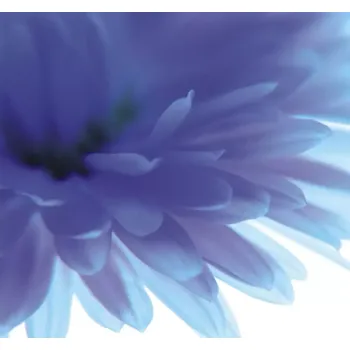 Fototapeta Vliesová fototapeta na zeď Rasch 890754, Magic Walls