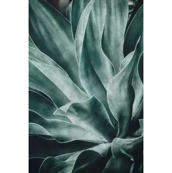 Fototapeta Luxusní vliesový panel/fototapeta Rasch 425796, kolekce Brick Lane Černá;Zelená