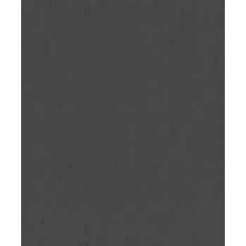 Tapeta Vliesová tapeta na zeď Rasch 746198, Indian style černá