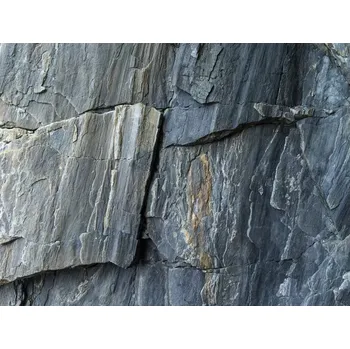 Fototapeta Vliesová fototapeta na zeď Rasch, 100358, Young Artists