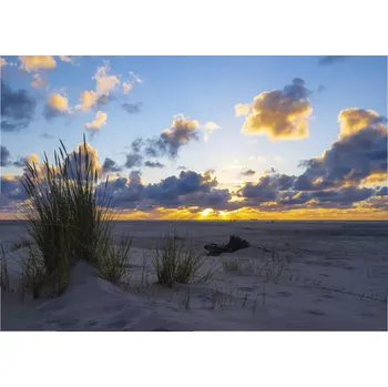 Fototapeta Vliesová fototapeta na zeď Rasch 364699, Magic Walls