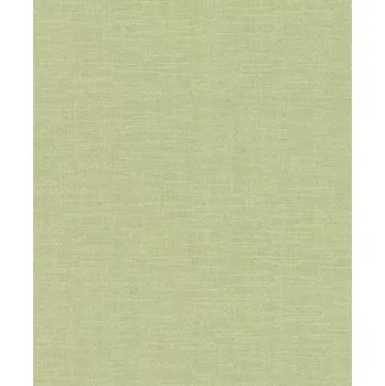 Tapeta Vliesová tapeta na zeď Rasch 700466, kolekce Kalahari Olivová