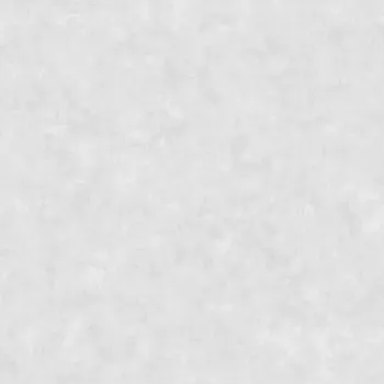 Tapeta Vliesová tapeta na zeď Caselio 101489301 BETON 2 Šedá