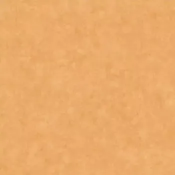 Tapeta Vliesová tapeta na zeď Caselio 101483250 BETON 2 Oranžová