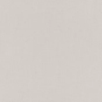 Tapeta Vliesová tapeta na zeď Rasch 424072, kolekce Poetry II Šedá