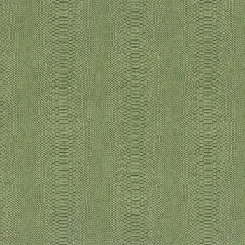 Tapeta Vliesová tapeta MA958834 Dieter Langer Tango Zelená