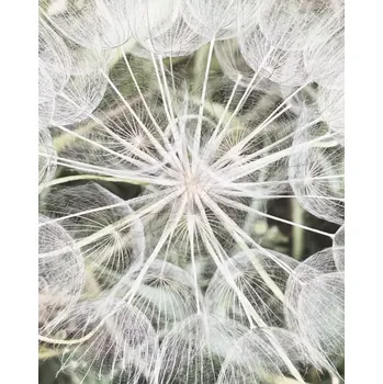 Fototapeta Vliesová fototapeta na zeď Rasch 364101, Magic Walls