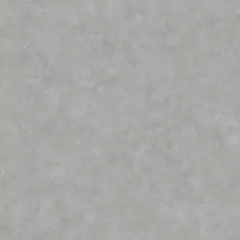 Tapeta Vliesová tapeta na zeď Caselio 101489243 BETON 2 Šedá