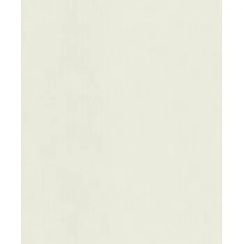 Tapeta Vliesová tapeta na zeď Rasch 521443, kolekce Concrete Bílá