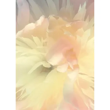 Fototapeta Vliesová fototapeta na zeď Rasch 839807, Magic Walls